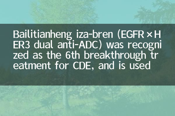 百利天恒iza-bren（EGFR×HER3双抗ADC）获CDE第6项突破性治疗认定，用于铂耐药复发卵巢癌等